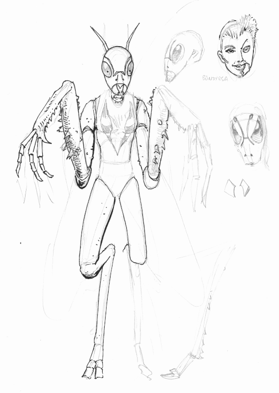 bonsyrsanwip.jpg